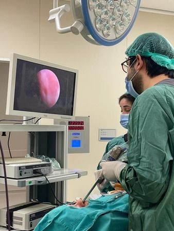Burnundan taş çıktı
