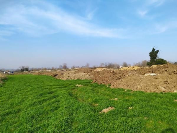 Skandal! İSU buğday ekili alana hafriyat döktü!