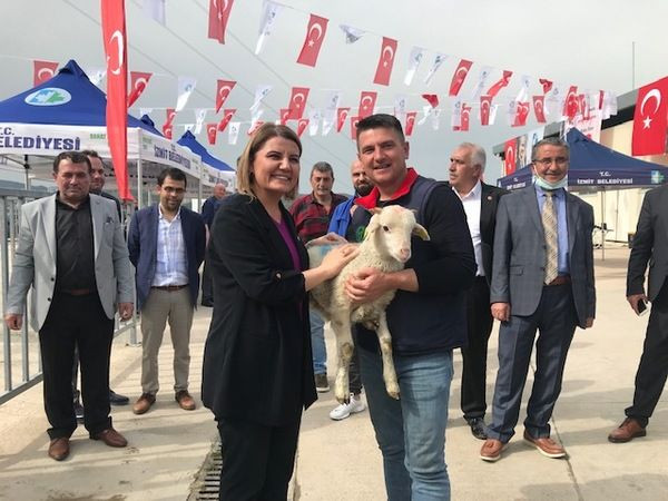 İzmit Belediyesi’nden 20 aileye 100 küçükbaş! “İzmitli çocuklar kuzu görmeden büyüyor”