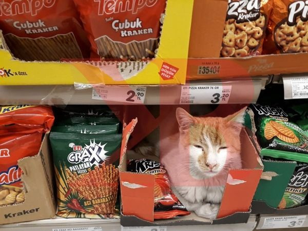 İzmit’teki o markette bu kez de kraker kutusundan çıktı!