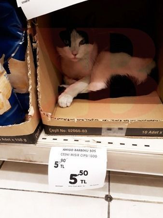 İzmit’teki o markette bu kez de kraker kutusundan çıktı!