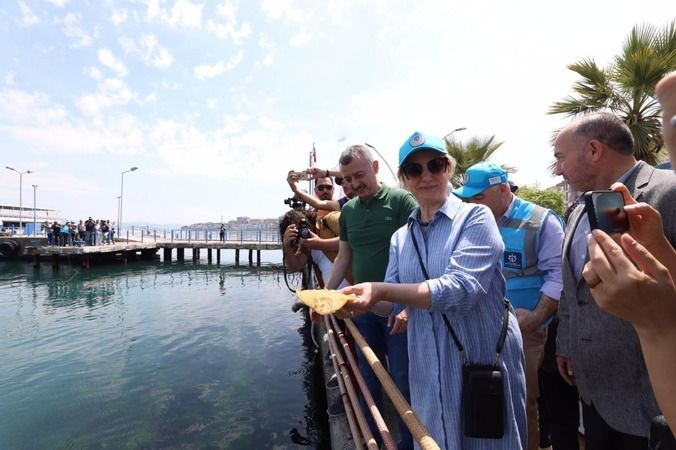 Binlerce yavru balık İzmit Körfezi’ne salındı