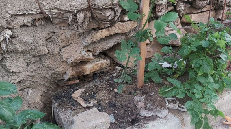 Bahçede 2 metrelik yılanla karşılaştılar!