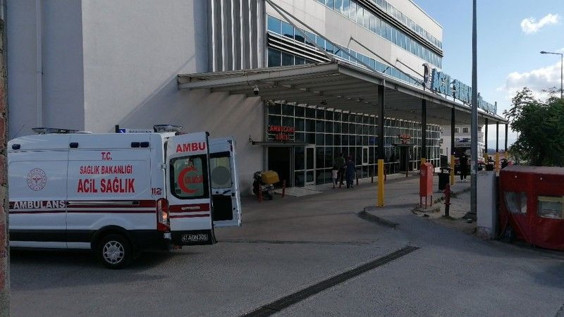 Meyve ağacından düşen kadın yaralandı