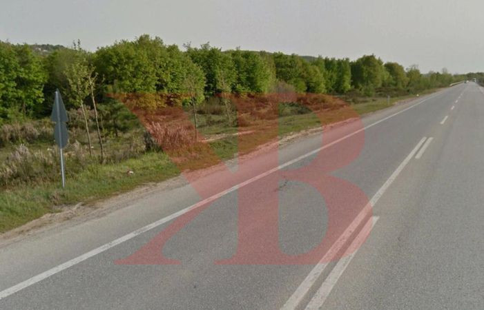 AKP ve CHP göz yumdu... İzmit’te muhtar ormanı talan etti!