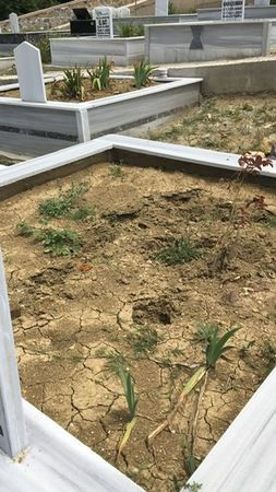 İlimtepe’de mezarlıkların hali İÇLER ACISI!
