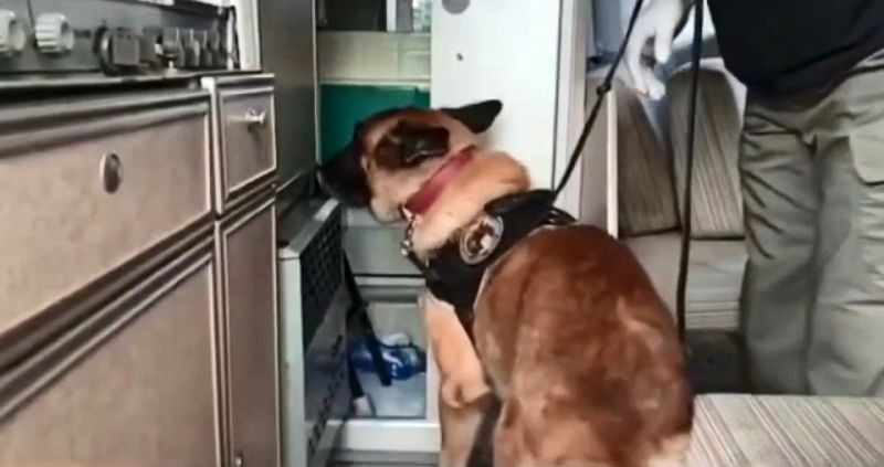 Polis ekiplerinin şok baskın yaptığı karavan, uyuşturucu deposu çıktı