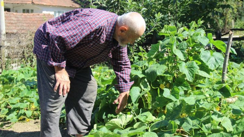 "Fotoğrafı var ama kendisi yok, bu dünya gelip geçici"