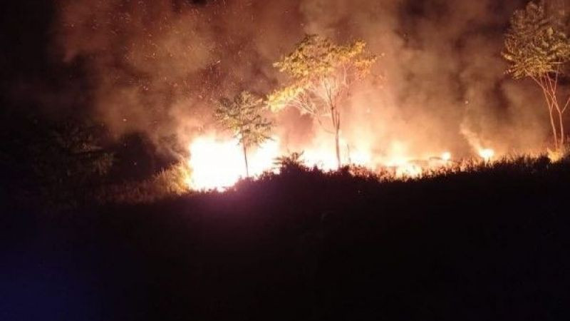 Ağaçlık alandaki araba lastikleri ormanı yaktı
