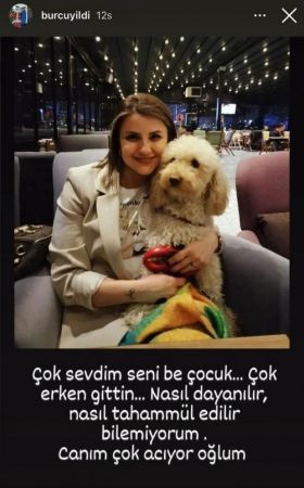Köpeğini ezen ehliyetsiz sürücünün ailesine isyan etti