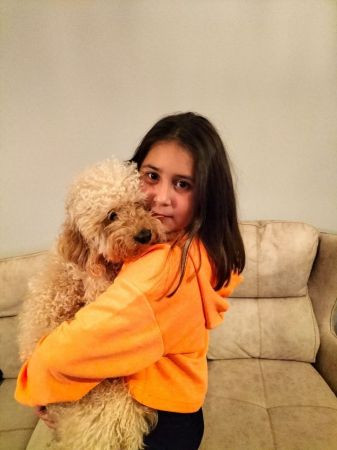 Köpeğini ezen ehliyetsiz sürücünün ailesine isyan etti