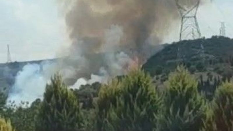 Kocaeli'de ormanlık alanda yangın çıktı