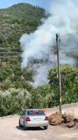Karamürsel'de orman yangını!