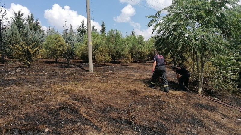 Makineden çıkan kıvılcım ağaçlık alanı yakıyordu!