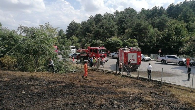 Makineden çıkan kıvılcım ağaçlık alanı yakıyordu!
