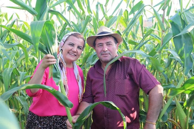 Hürriyet, başörtüsü taktı, şalvarı giydi, mısır topladı