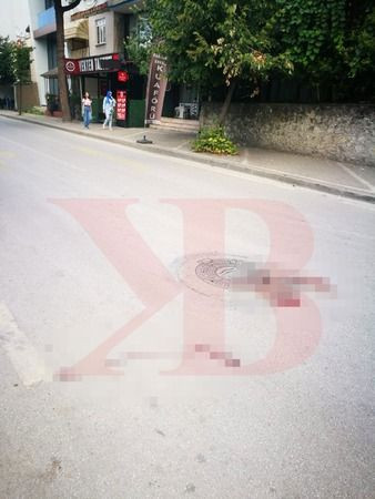 Vicdansız sürücü, kediyi ezdi, arkasına bile bakmadı