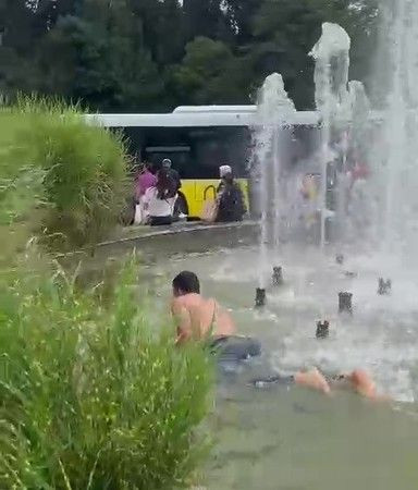 Bir fenomenin hazin sonu! Süs havuzuna girecekti, kafa üstü çakıldı