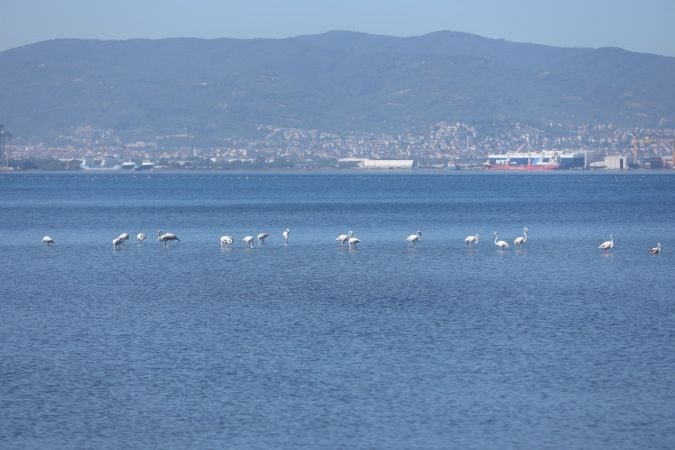 İzmit Körfezi'nin manzarası hayran bıraktı