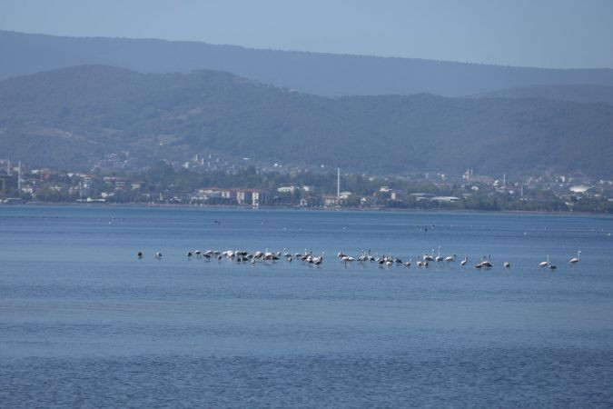 İzmit Körfezi'nin manzarası hayran bıraktı