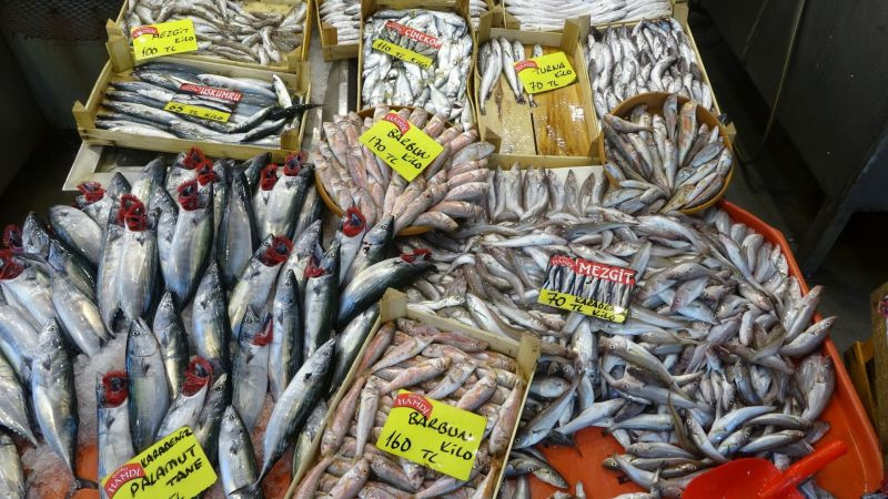 Balık fiyatları düştü!