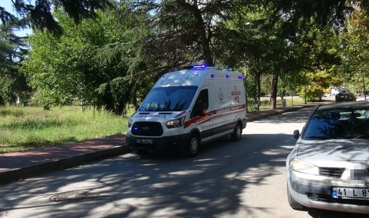 Yaşlı adam çam ağacından düştü!