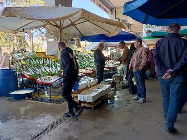 Bakın bu hafta pazarda hamsi ve palamut kaç lira!