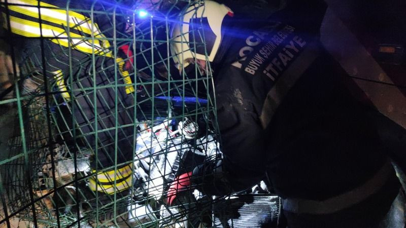 Kocaeli'de seyir halinde tartışan iki otomobil sürücüsü çarpıştı: 1'İ AĞIR 5 YARALI