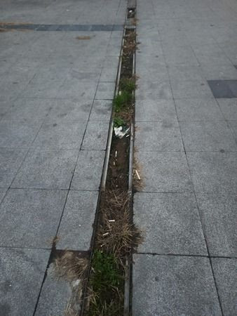 Burası kimin sorumluluğunda? Şu BELSA’nın pisliğine bir bakın!