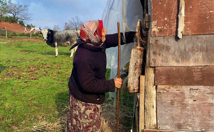 Son Yörükler kendi elleriyle yaptıkları evi yine elleriyle yıkıyor