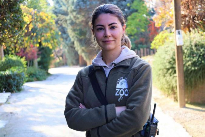 Türkiye’nin ilk armadillo yavrusu Kocaeli'de...