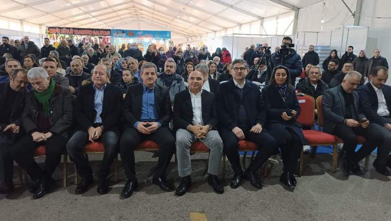 Hamsinin birleştirici gücü