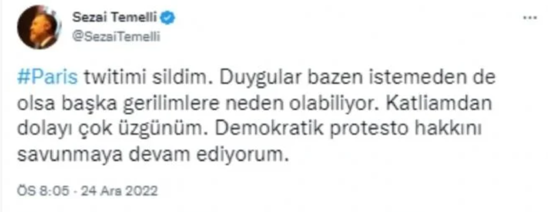 HDP'li vekilden Paris'i yakan PKK yandaşlarına, skandal destek!