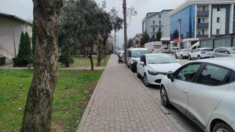 İzmit'te köpeğe saldıran 2 şahıs yakalanıp serbest bırakıldı
