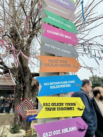 Kazlar çevrildi, gelenek yaşatıldı