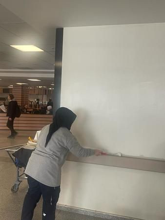Kocaeli Devlet Hastanesinin duvarlarına, kadın eli değdi