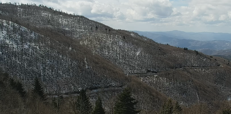 Kartepe’de kar kalınlığı arttı, Yuvacık Barajı’nın dolum hızı düştü… Meteoroloji’nin açıkladığı haftalık rapor ise şaşırttı!