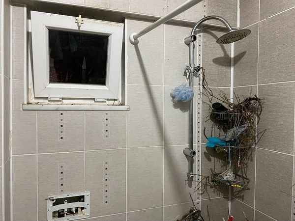 Tatilden dönen vatandaş banyoya girdiğinde şaşkına döndü