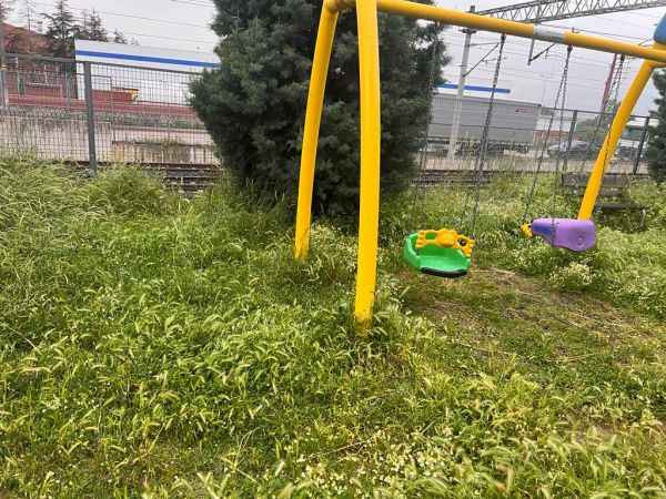 Ot içinde kaldık!