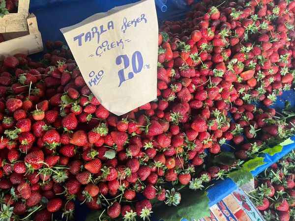 İşte seçim sonrası pazarda son durum!