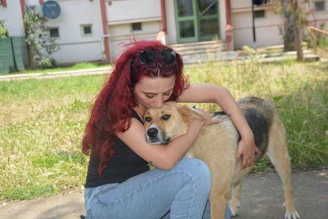 Köpeğe tekme iddiasıyla ortalık karıştı!
