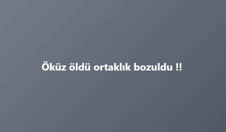 CHP'lilerden Akşener'e sert sözler!
