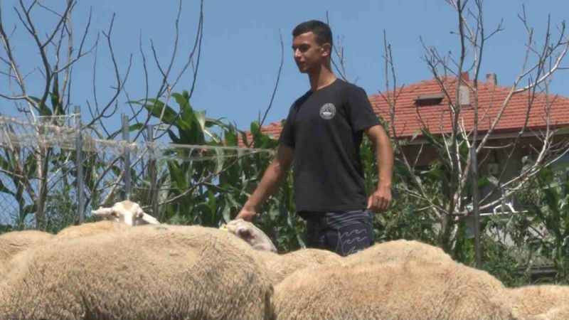 Kandıra'da çobanın sörf tutkusu!
