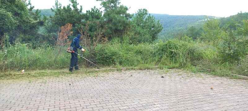 İzmit Belediyesinden muhtarın koyunlu paylaşımına tepki!