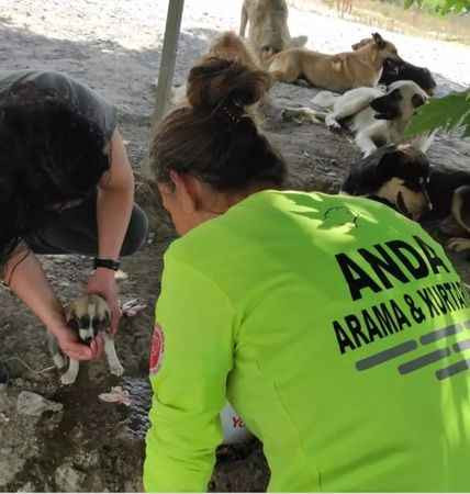 İhtiyaç duyduğun ANDA orada! Gönüllü iyilerin hikayesi…