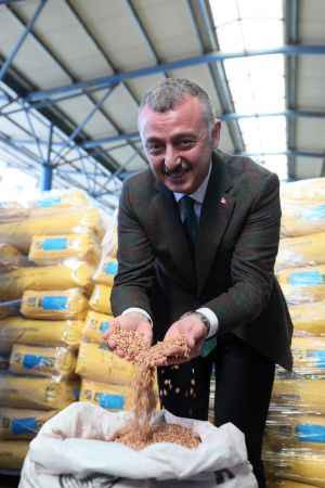 Kocaeli'de tohumlar, Büyükşehir'den