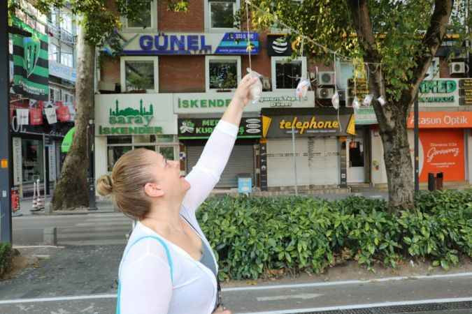 İzmit'te ağaçlar bu kez pişmaniye açtı!