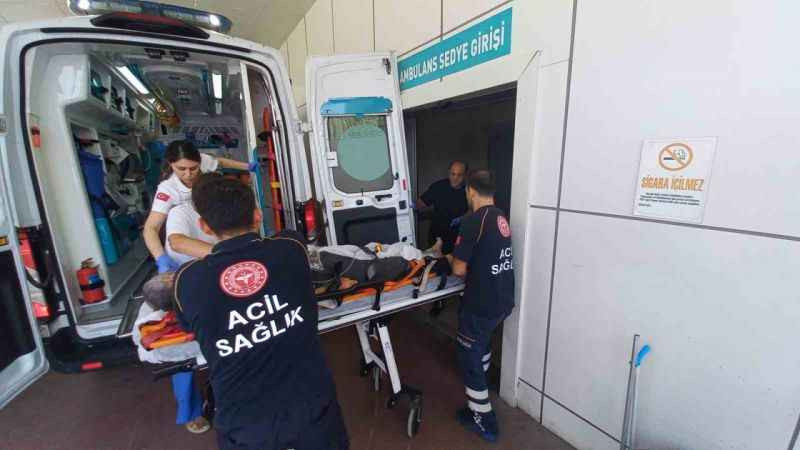 Kocaeli'de korkunç ölüm... Ağaçtan düştü, kalbine dal parçası saplandı