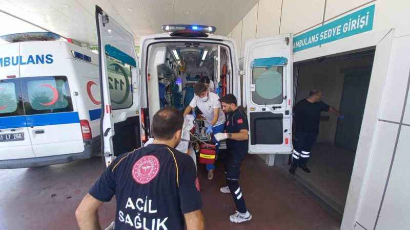 Kocaeli'de korkunç ölüm... Ağaçtan düştü, kalbine dal parçası saplandı