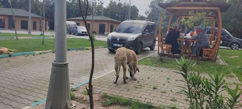 Görkemli açılış yapmışlardı AKP’li belediye 15 ayda kaderine terk etti!